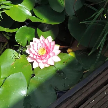 Mit Liebe Ausgestattetes Haus Im Naturpark By Interhome * Vöhl