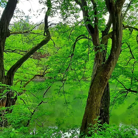 Mit Liebe Ausgestattetes Haus Im Naturpark By Interhome *