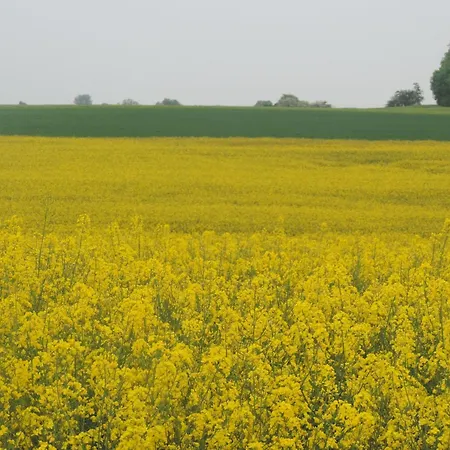 Mit Liebe Ausgestattetes Haus Im Naturpark By Interhome Hébergement de vacances Vöhl