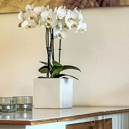 Mit Liebe Ausgestattetes Haus Im Naturpark By Interhome Holiday home