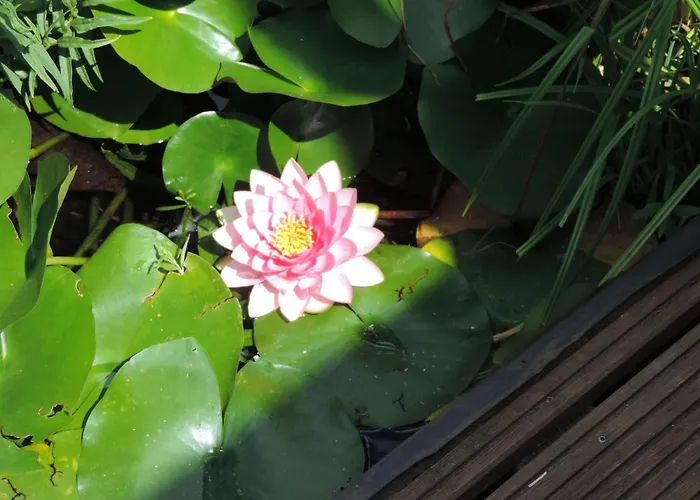 Mit Liebe Ausgestattetes Haus Im Naturpark By Interhome * Vöhl