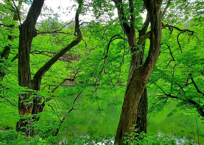 Mit Liebe Ausgestattetes Haus Im Naturpark By Interhome *