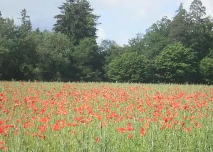 Mit Liebe Ausgestattetes Haus Im Naturpark By Interhome Hébergement de vacances *