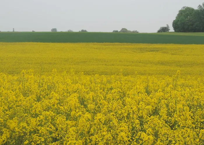 Mit Liebe Ausgestattetes Haus Im Naturpark By Interhome Hébergement de vacances Vöhl
